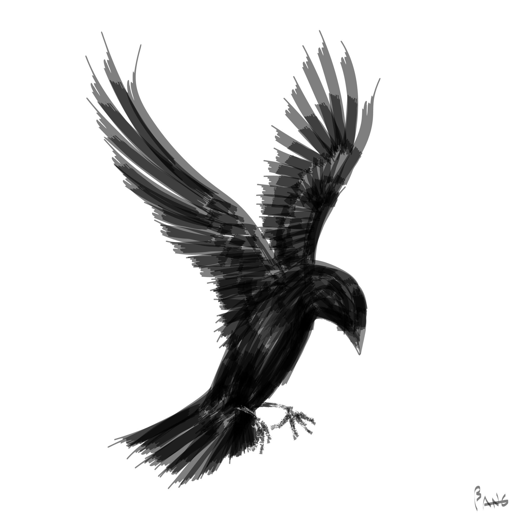 Artwork: "THE JACKDAW FLIES" by BandidoJim.