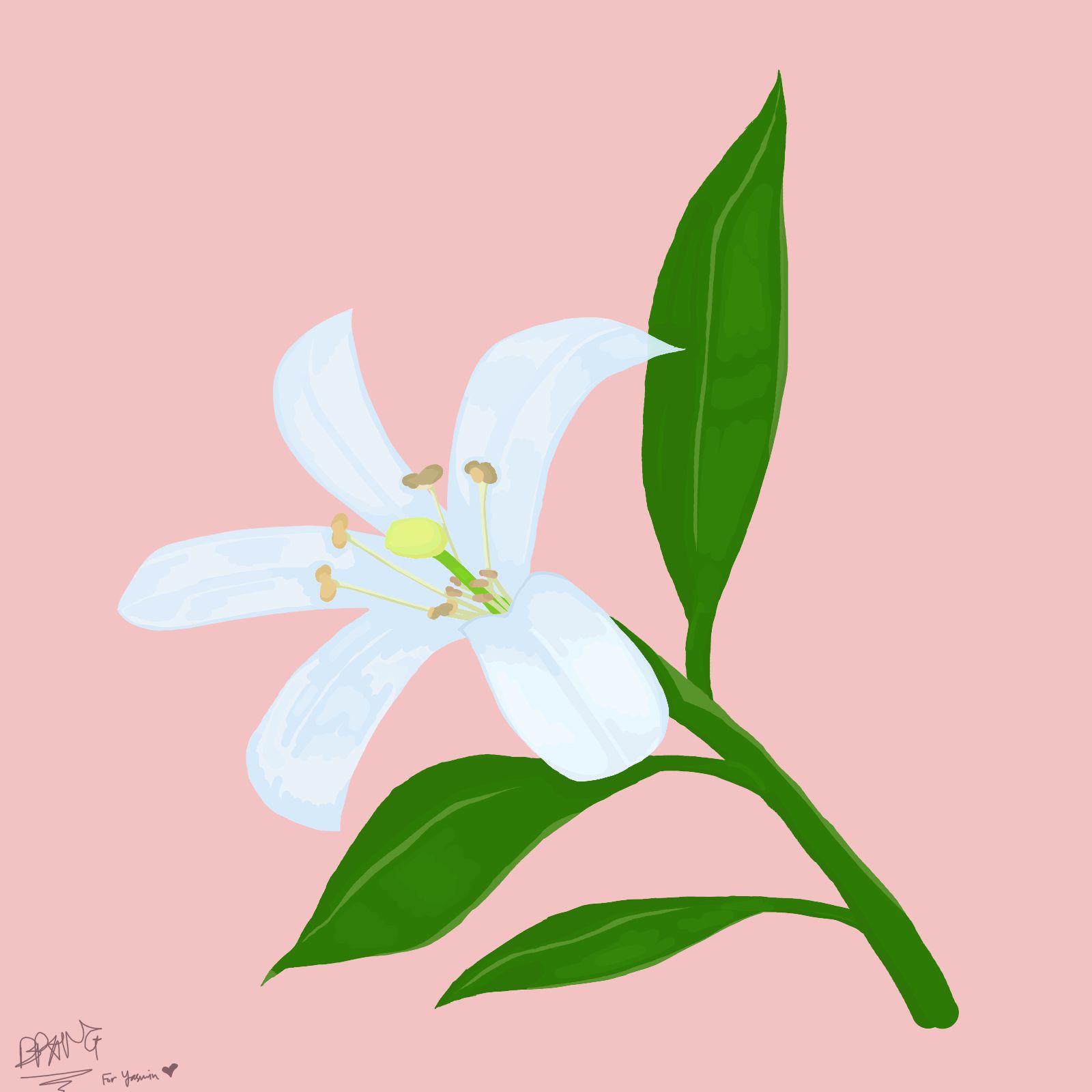 Artwork: "For Yasmin" by BandidoJim.