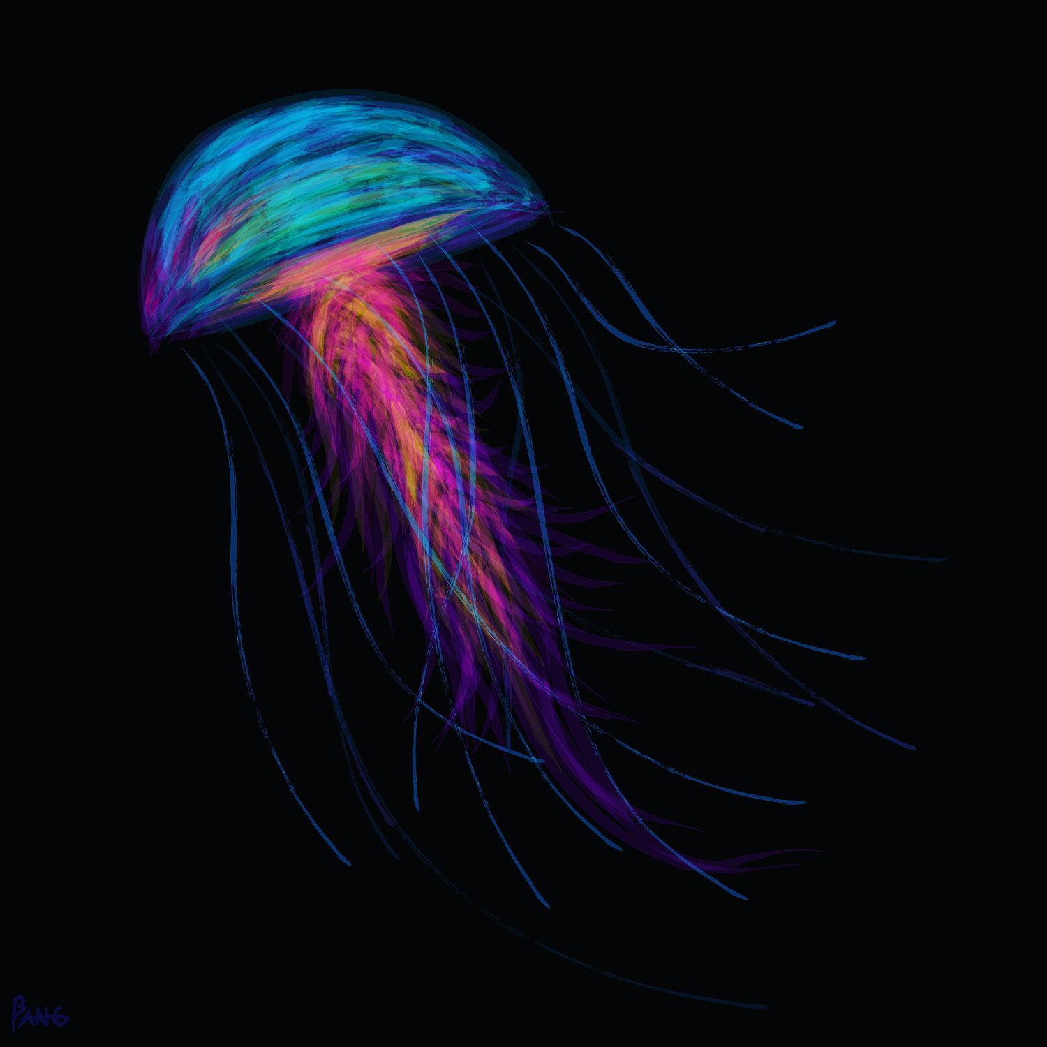 Artwork: "JELLYFISH" by BandidoJim.