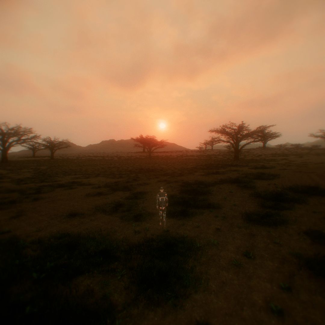 Artwork: "ACACIA, EPHEMERA" by BandidoJim.